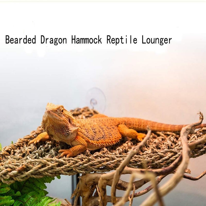 kathson Bearded Dragon Hammock, Reptile Terrarium Leaves with Suction Cups, Bearded Dragon Tank Accessories, Habitat Decor for Chameleon, Lizards, Geckos, and Snakesï¼ˆ16.53 x 12.6 x 12.6 inches, 2 PCSï¼‰ - Image 5
